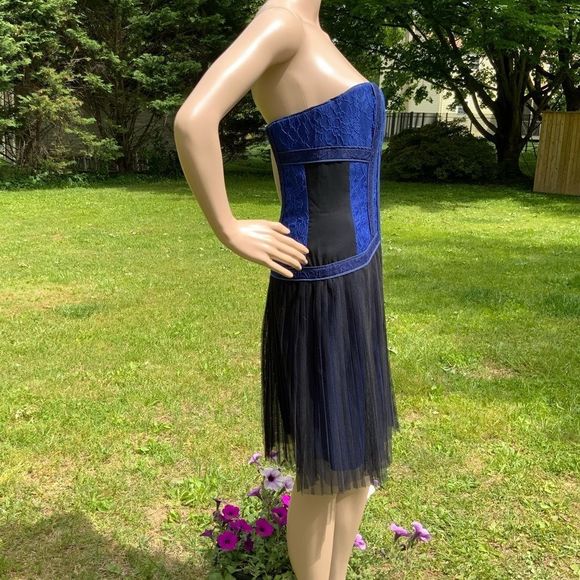 NWT $338 BCBGMAXAZRIA | Galia |  Strapless Fringe Hem Lace Corset Dress in Blue - Picture 8 of 16